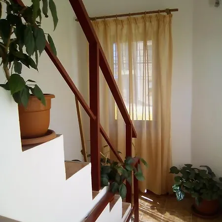 Casa Mara M8 게스트하우스 3*