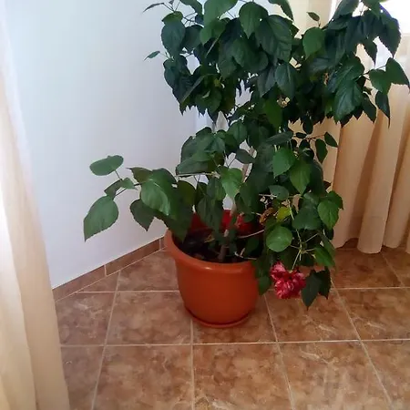 Casa Mara M8 게스트하우스 Năvodari