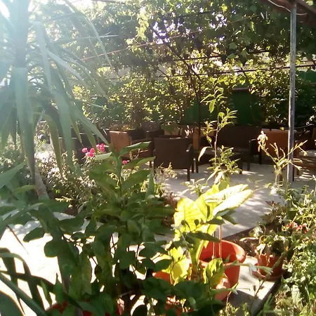 Casa Mara M8